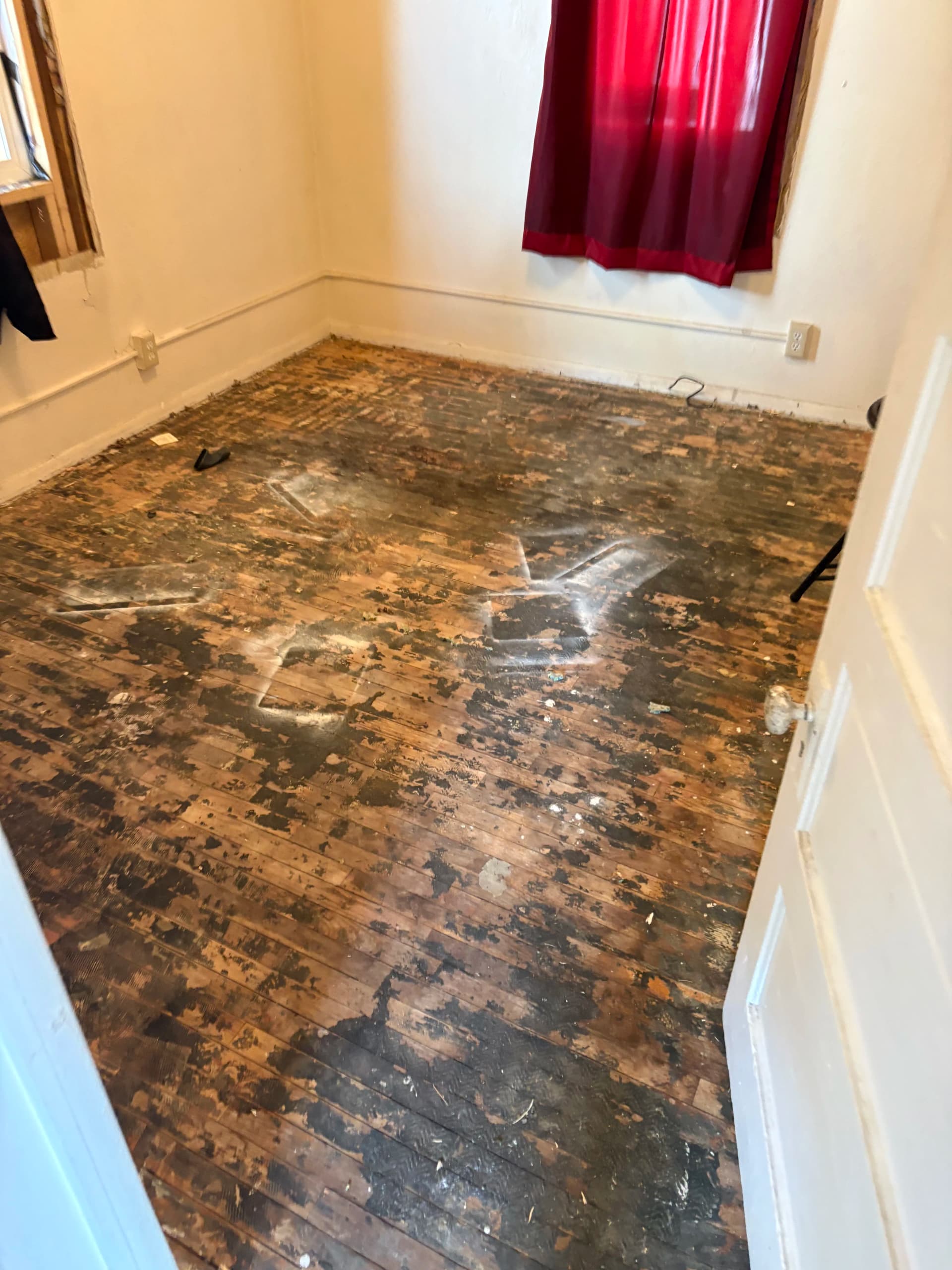 Gallery photos for Old Carpet and Padding Hauled Out of 3 Rooms in Billings: Image #1
