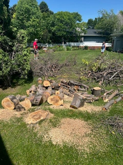 Efficient Yard Cleanup in Billings MT image