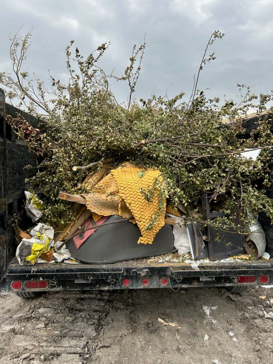 Junk Monsters Haul Away Debris with Expertise image