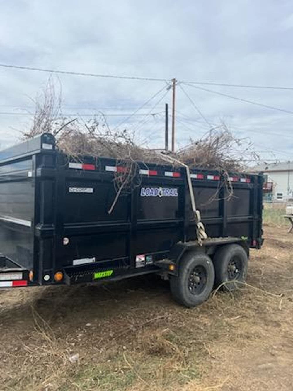 Black trailer filled with overgrown brush, parked on a rural landscape.